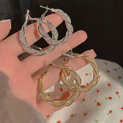 🔥(LAST DAY SALE-80% OFF) Lymphatische Aktivität Hoop-Ohrringe
